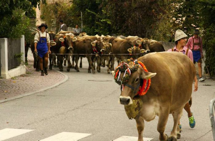 holiday-brunico-03